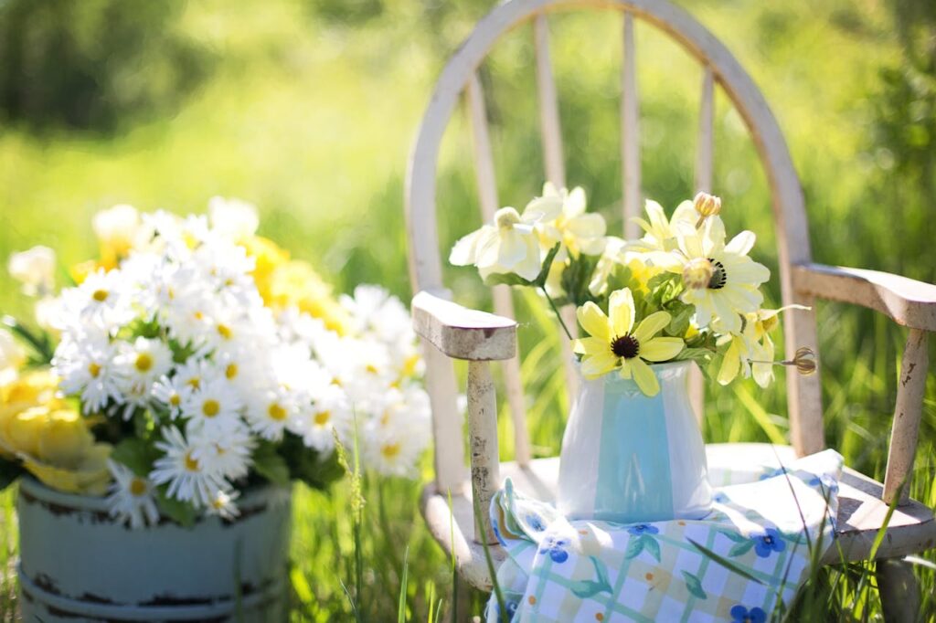 summer still life daisies yellow.jpg
